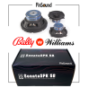 Haut-Parleurs PinSound SonataSPK - Bally / Williams