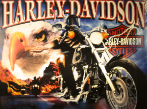 Harley-Davidson STERN mit PinSound-Erweiterungen