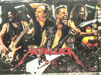 Metallica (Premium Road Case) with PinSound upgrades